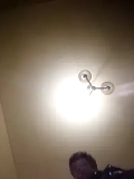 petxxl online show from 11/29/25, 08:14