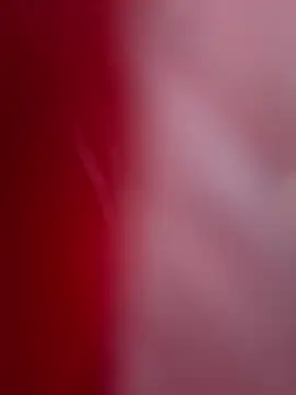 Snapshot of ALEXANDRA95 chatting on 02/11/25, 04:44 ALEXANDRA95 online show from 02/11/25, 04:44