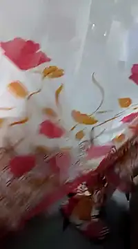 Snapshot of laxmitelugu78 chatting on 02/04/25, 01:59 laxmitelugu78 online show from 02/04/25, 01:59