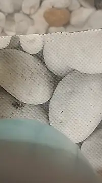 Snapshot of Playboy_bhabhi_00 chatting on 02/25/25, 08:14 Playboy bhabhi 00 online show from 02/25/25, 08:14