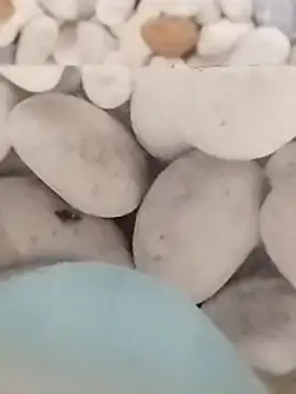 Snapshot of Playboy_bhabhi_00 chatting on 02/27/25, 05:51 Playboy bhabhi 00 online show from 02/27/25, 05:51