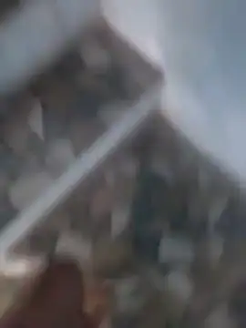 Snapshot of Playboy_bhabhi_00 chatting on 03/18/25, 11:22 Playboy bhabhi 00 online show from 03/18/25, 11:22