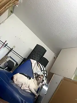 sexyhotstud12 online show from 01/24/25, 06:25