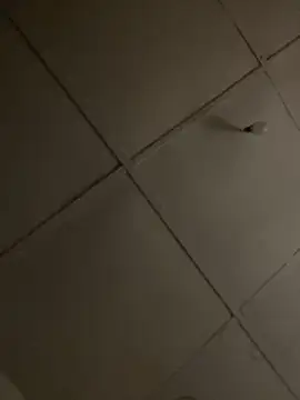 Snapshot of Boneca25 chatting on 11/16/25, 06:12 Boneca25 online show from 11/16/25, 06:12