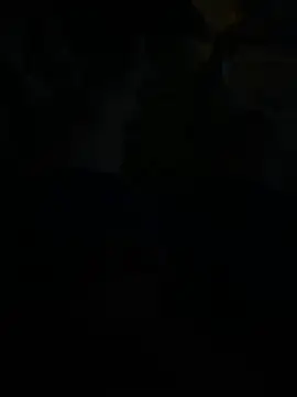 excementt online show from 02/17/25, 11:11