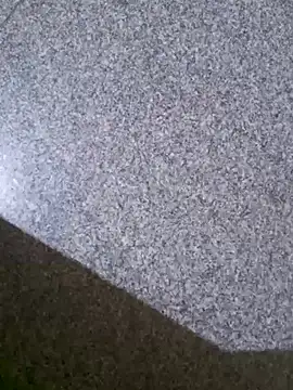 TeluguammayiMahi online show from 03/21/25, 02:07