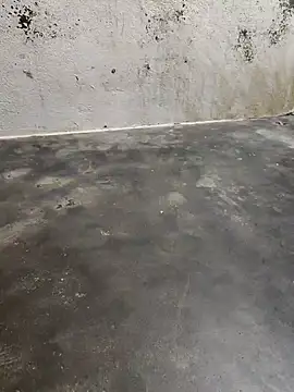 Snapshot of sweety006telugu chatting on 01/31/25, 10:10 sweety006telugu online show from 01/31/25, 10:10