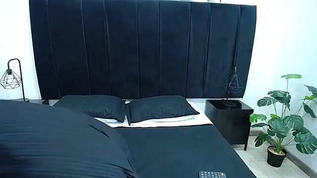 CamiilaReyes online show from 01/13/26, 04:11