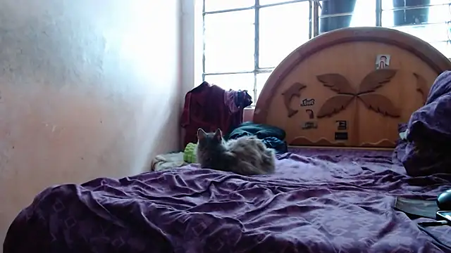 nakedlima online show from 10/15/25, 05:21