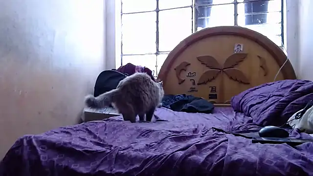 nakedlima online show from 10/31/25, 05:20