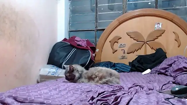 nakedlima online show from 10/27/25, 06:58