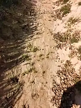 xmanrawan2 online show from 02/24/26, 05:08