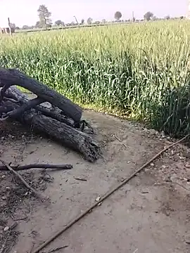 xmanrawan2 online show from 02/23/26, 05:09