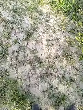 xmanrawan2 online show from 03/14/25, 11:34