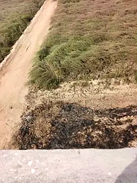 xmanrawan2 online show from 02/12/26, 05:07