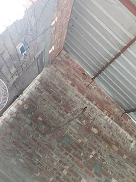 birds0641 online show from 10/24/25, 07:51