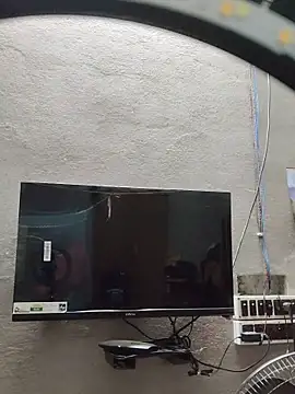 birds0641 online show from 10/27/25, 06:20