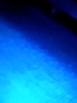 wadmma online show from 03/13/26, 03:22