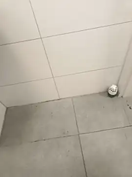 wadmma online show from 04/03/26, 04:19