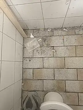 wadmma online show from 11/19/25, 08:47