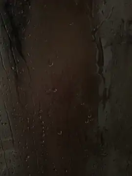 RussNocturnal online show from 03/01/25, 07:41