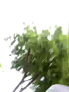 arevalo1124 online show from 11/26/25, 09:26