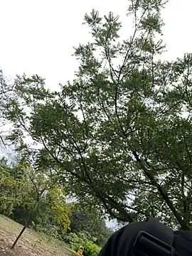 arevalo1124 online show from 12/02/25, 09:16