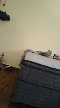 Snapshot of JapeDoBryan chatting on 05/16/26, 06:29 JapeDoBryan online show from 05/16/26, 06:29