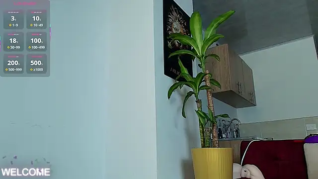 Dwayne Brown online show from 04/03/26, 07:31