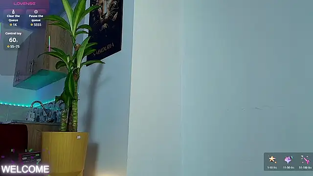 Dwayne Brown online show from 02/21/26, 01:02