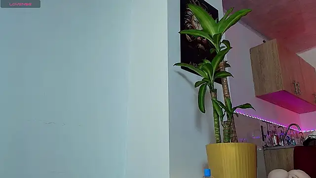 Dwayne Brown online show from 03/08/26, 06:33