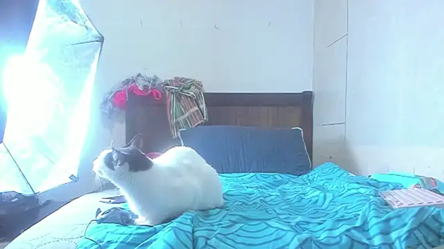 brigitho5 online show from 10/21/25, 02:16