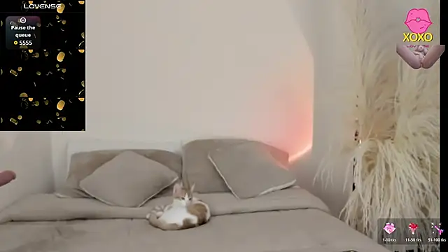 Sammy-Jhonson online show from 03/29/26, 11:06