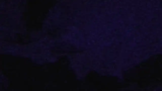 Snapshot of cruz815 chatting on 09/20/25, 11:04 cruz815 online show from 09/20/25, 11:04