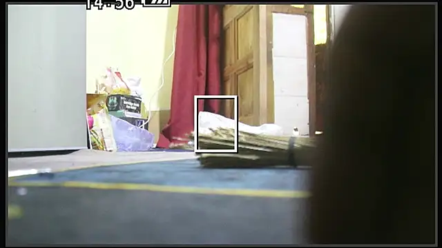 EXLOVER2 online show from 07/26/26, 03:41