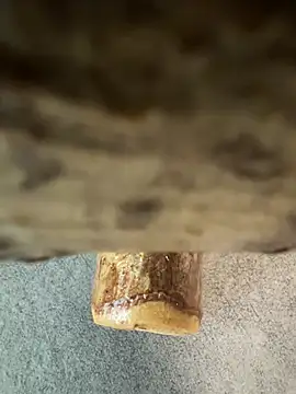 Snapshot of fuocovivo4 chatting on 01/30/25, 11:11 fuocovivo4 online show from 01/30/25, 11:11