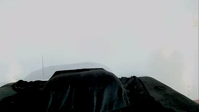 Carlin Diaz online show from 03/25/26, 10:19