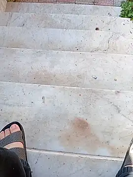 NAvoglia online show from 03/14/26, 11:05