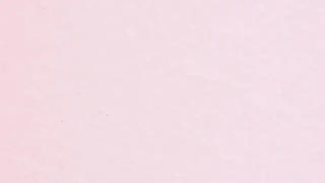 JhoanLeandro online show from 04/11/26, 04:20