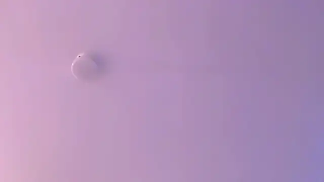 leahaltomm online show from 04/18/26, 02:25