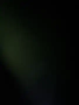 vicky bass online show from 11/21/25, 11:59