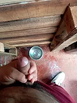 HotC1991 online show from 01/08/26, 02:12