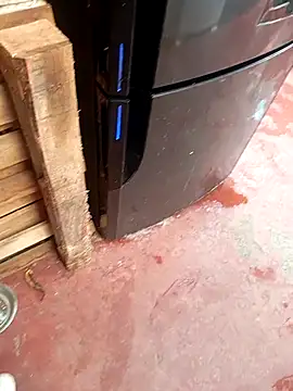 HotC1991 online show from 01/12/26, 03:19