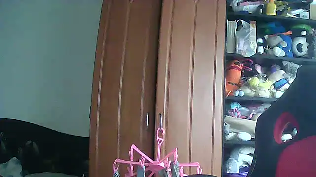 Cicamica12 online show from 11/26/25, 08:36