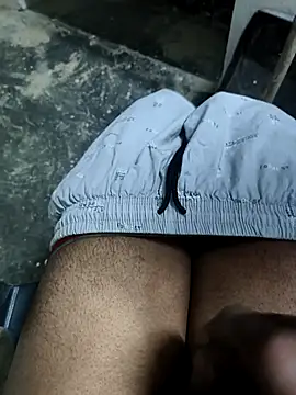 Snapshot of omni_333 chatting on 03/01/26, 02:17 omni 333 online show from 03/01/26, 02:17