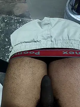 Snapshot of omni_333 chatting on 02/11/26, 12:38 omni 333 online show from 02/11/26, 12:38