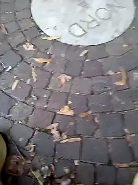 dominationmybigdick online show from 09/19/25, 05:06