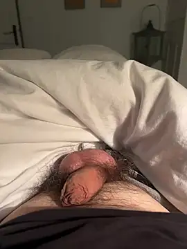 Avignon1963 online show from 04/11/26, 07:17