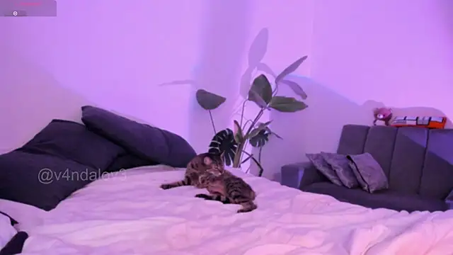 ggor4w33 online show from 01/09/26, 06:53