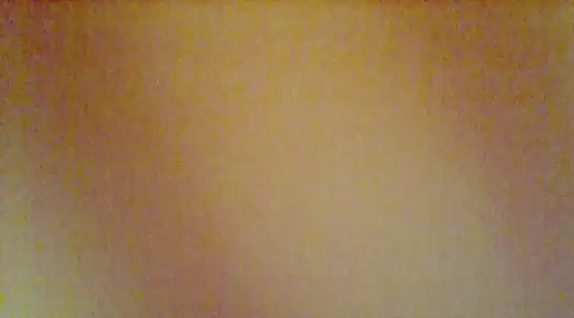 Snapshot of tseveline chatting on 02/04/25, 01:56 tseveline online show from 02/04/25, 01:56